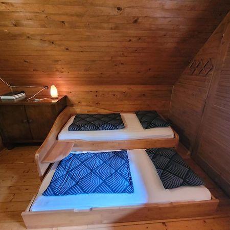 Villa Pocitniska Hisa Radovna à Zgornja Radovna Extérieur photo
