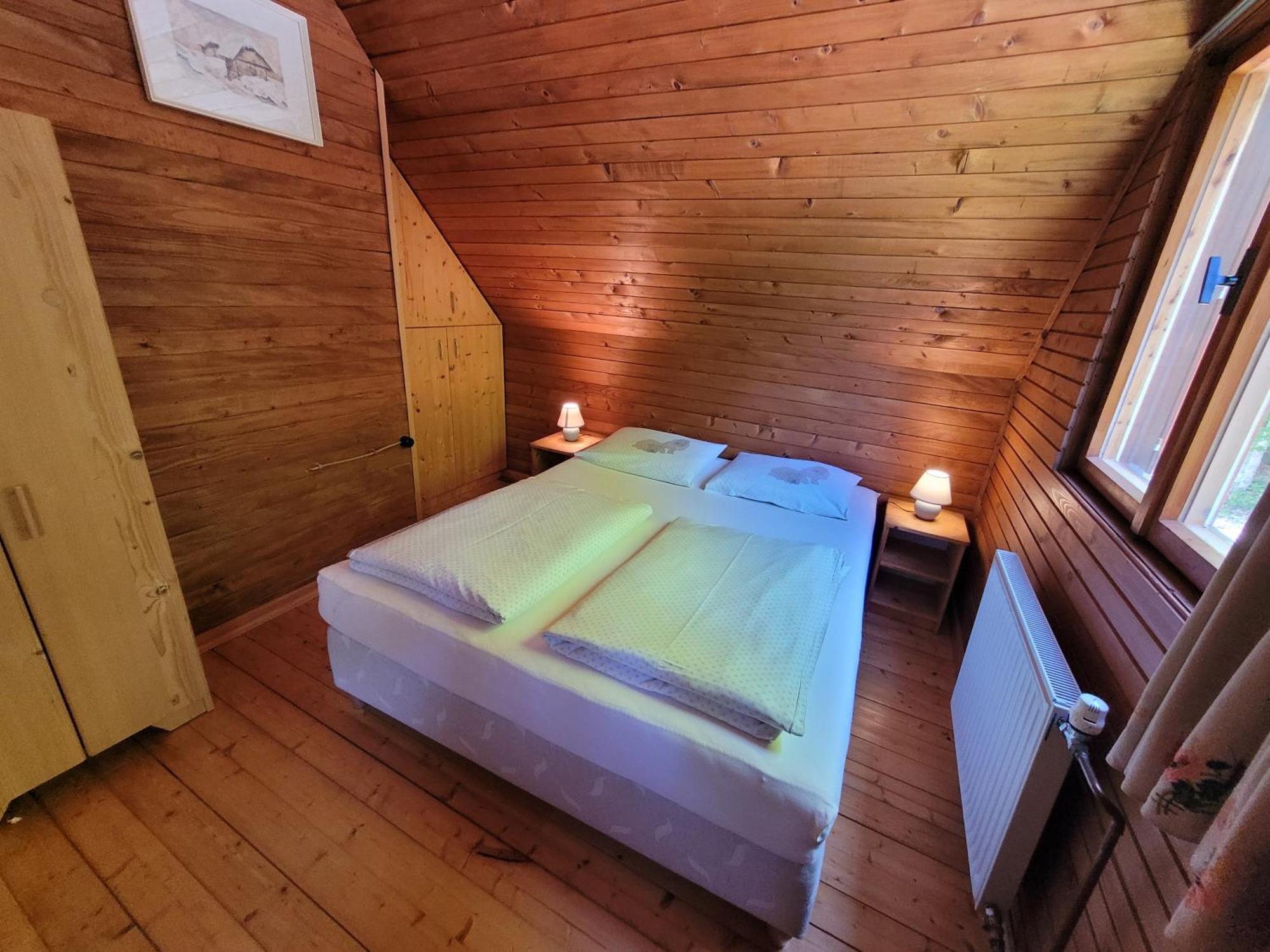Villa Pocitniska Hisa Radovna à Zgornja Radovna Extérieur photo