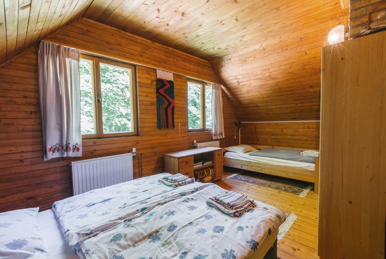 Villa Pocitniska Hisa Radovna à Zgornja Radovna Extérieur photo