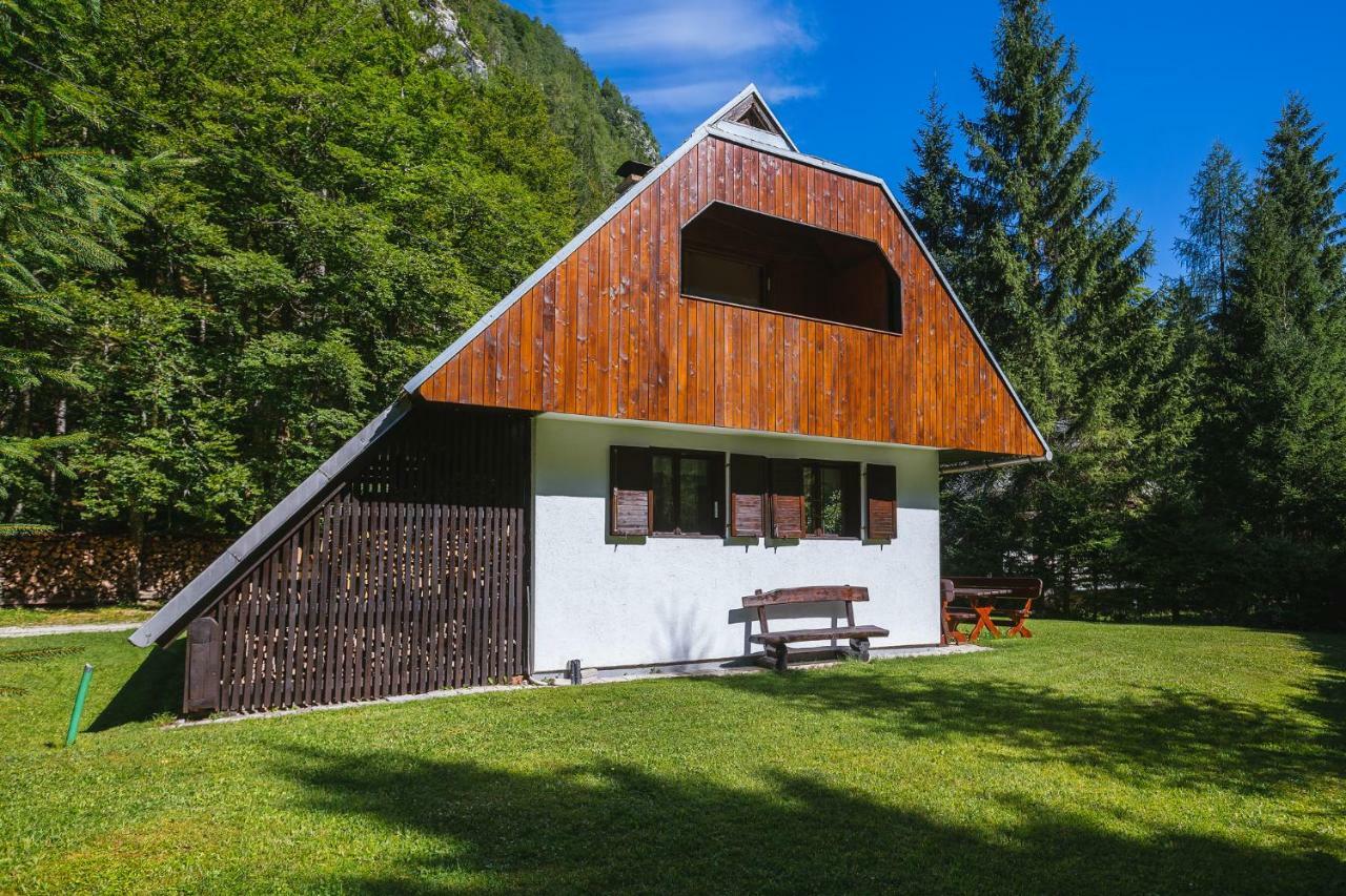 Villa Pocitniska Hisa Radovna à Zgornja Radovna Extérieur photo